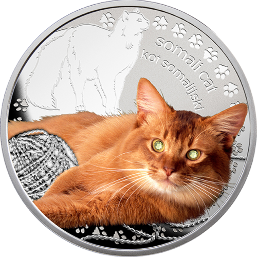 somali cat coin series the mans best friends cats