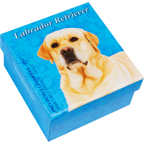 Labrador Retriever, 1 dollar, Man’s Best Friends – Dogs