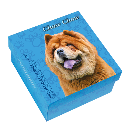 Chow Chow Man’s Best Friends – Dogs