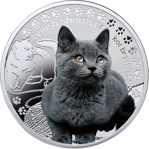 silver coin British Shorthair, 1 dollar, Series: Man’s Best Friends – Cats